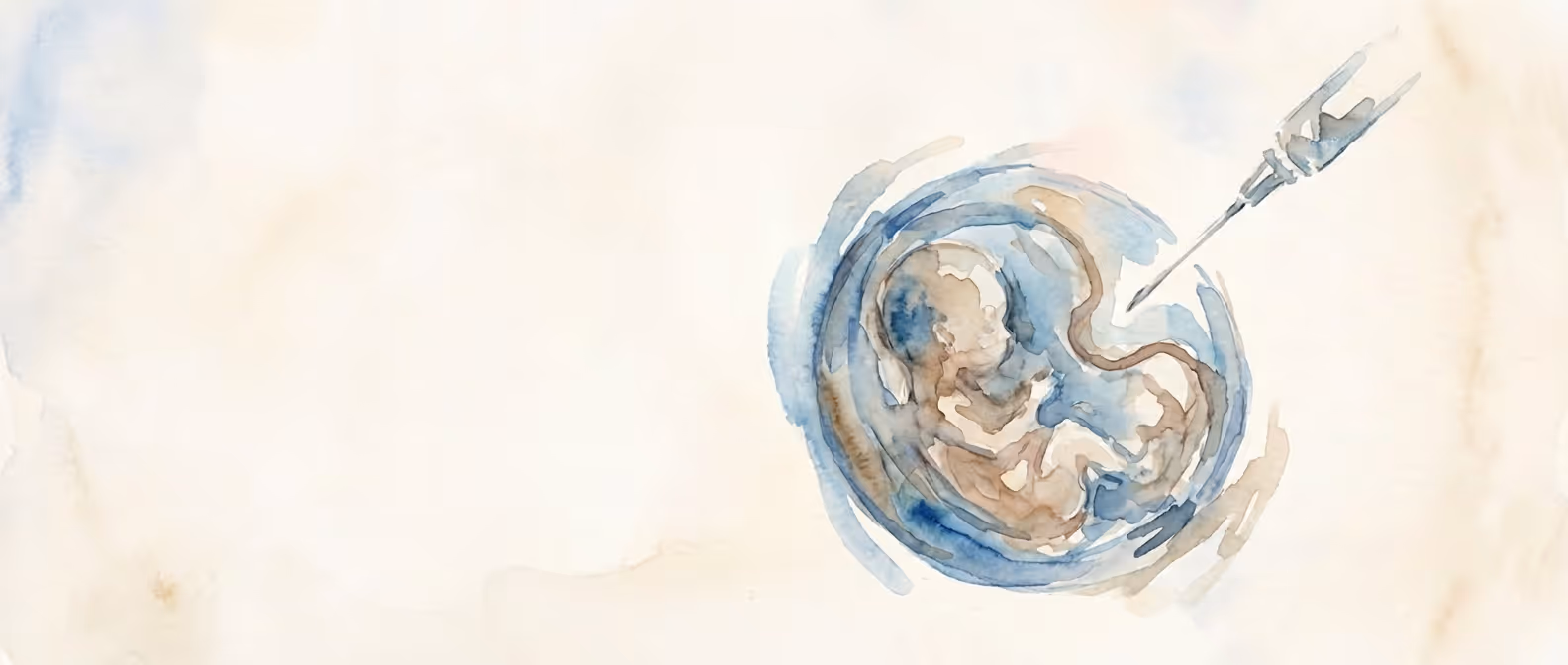 Watercolour illustration of embryo floating in amniotic fluid representing early pregnancy and prenatal care, illustration by SMART NT